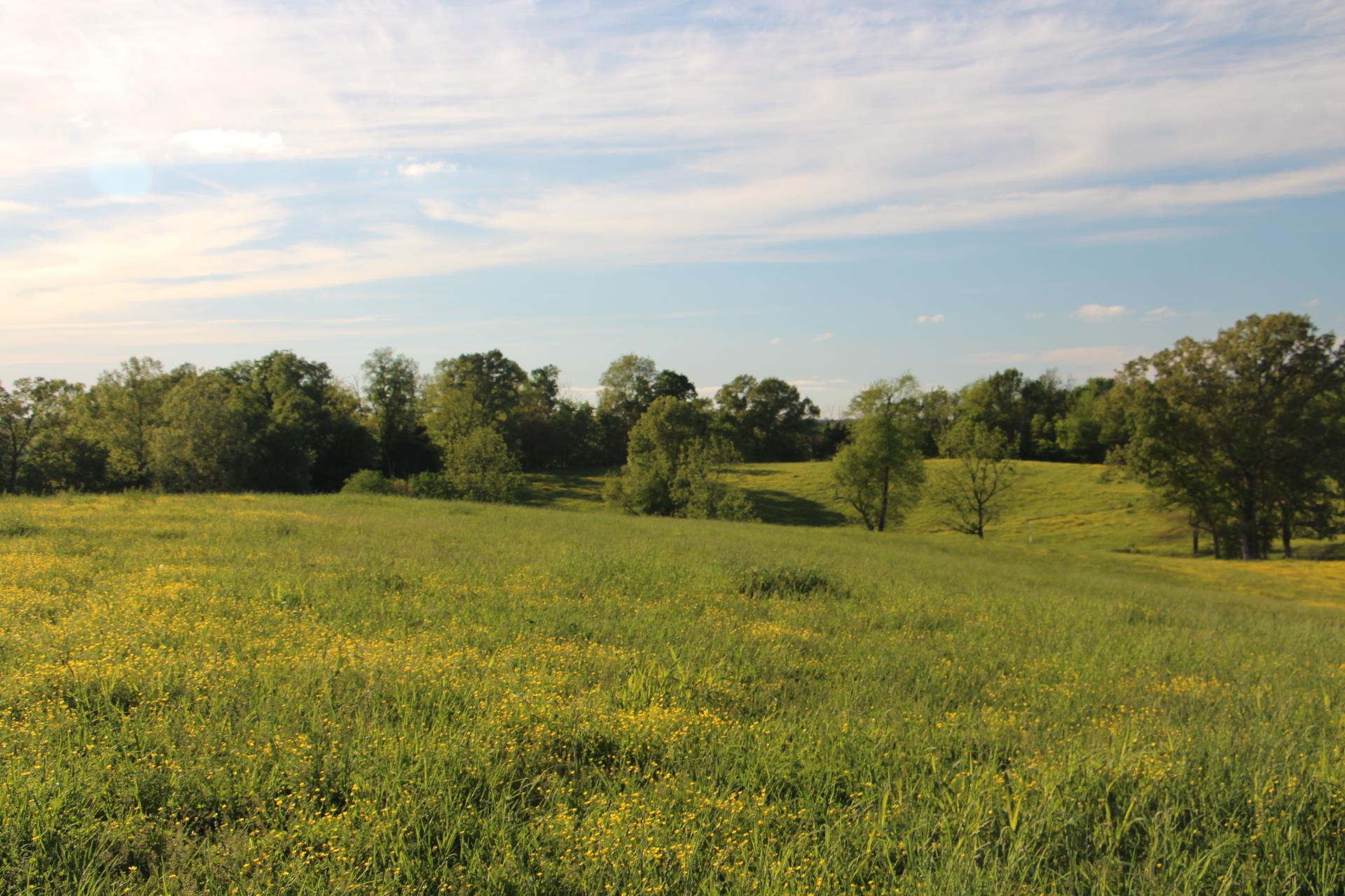0 Crawford Store Road Springfield, TN 37172 - Photo 12 of 12
