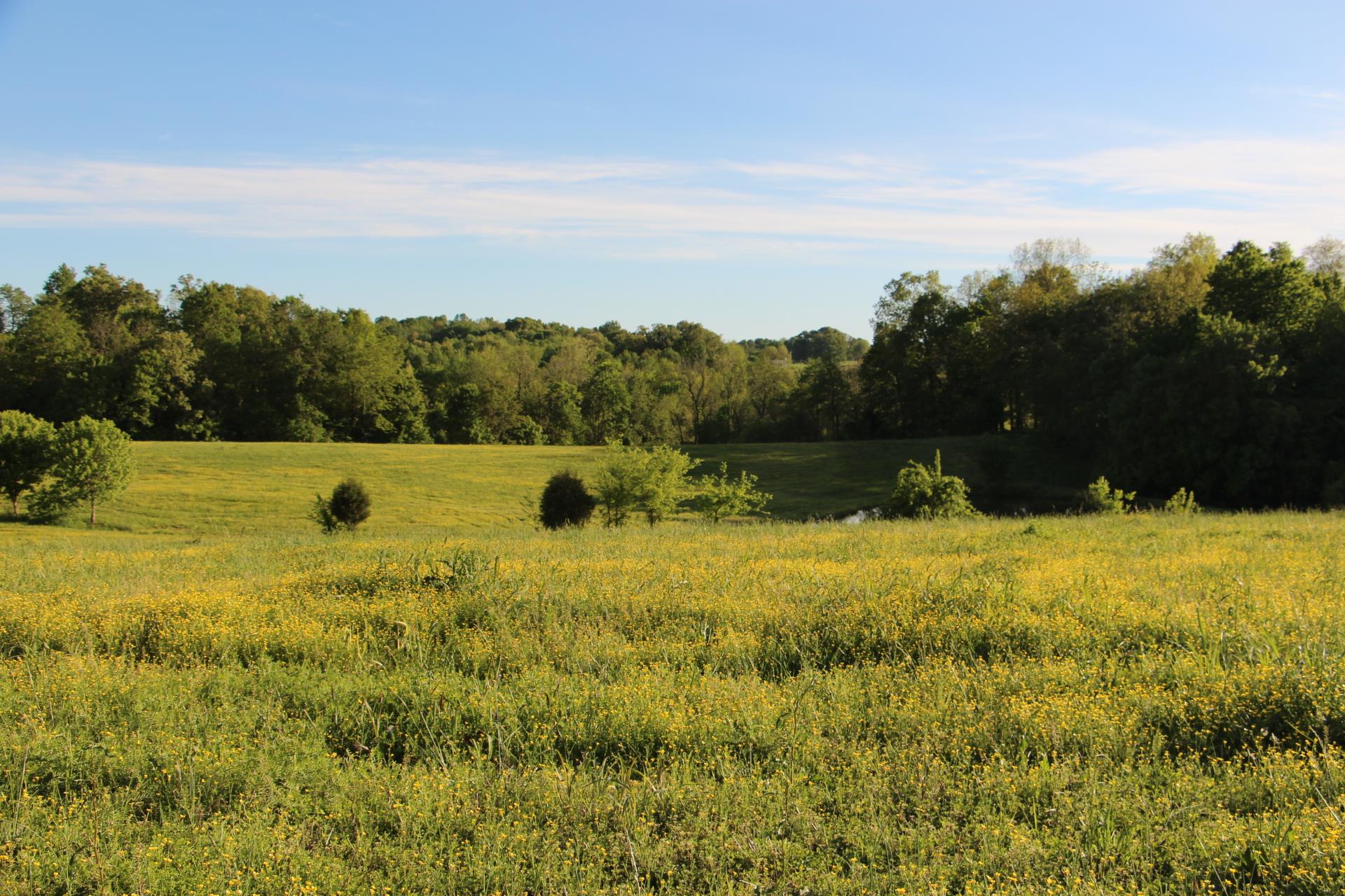 0 Crawford Store Road Springfield, TN 37172 - Photo 8 of 12