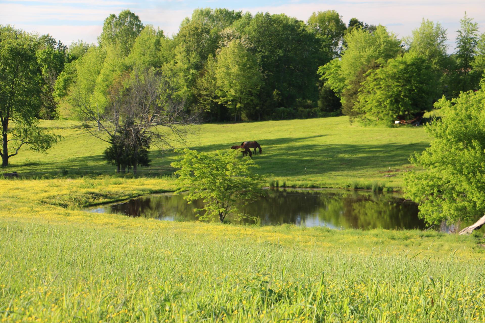 0 Crawford Store Road Springfield, TN 37172 - Photo 9 of 12