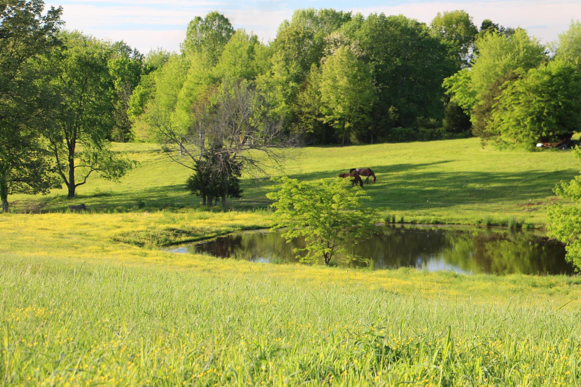 0 Crawford Store Road Springfield, TN 37172 - Photo 10 of 12