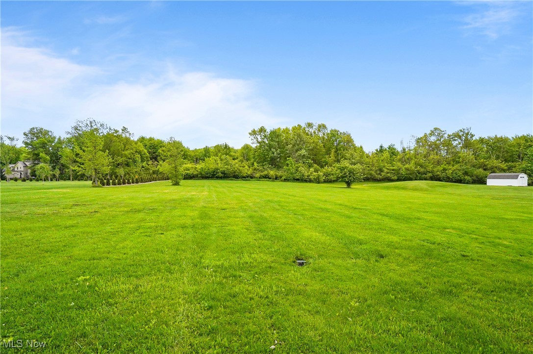 7305 Alexander Road Painesville, OH 44077 - Photo 11 of 50 View of backyard