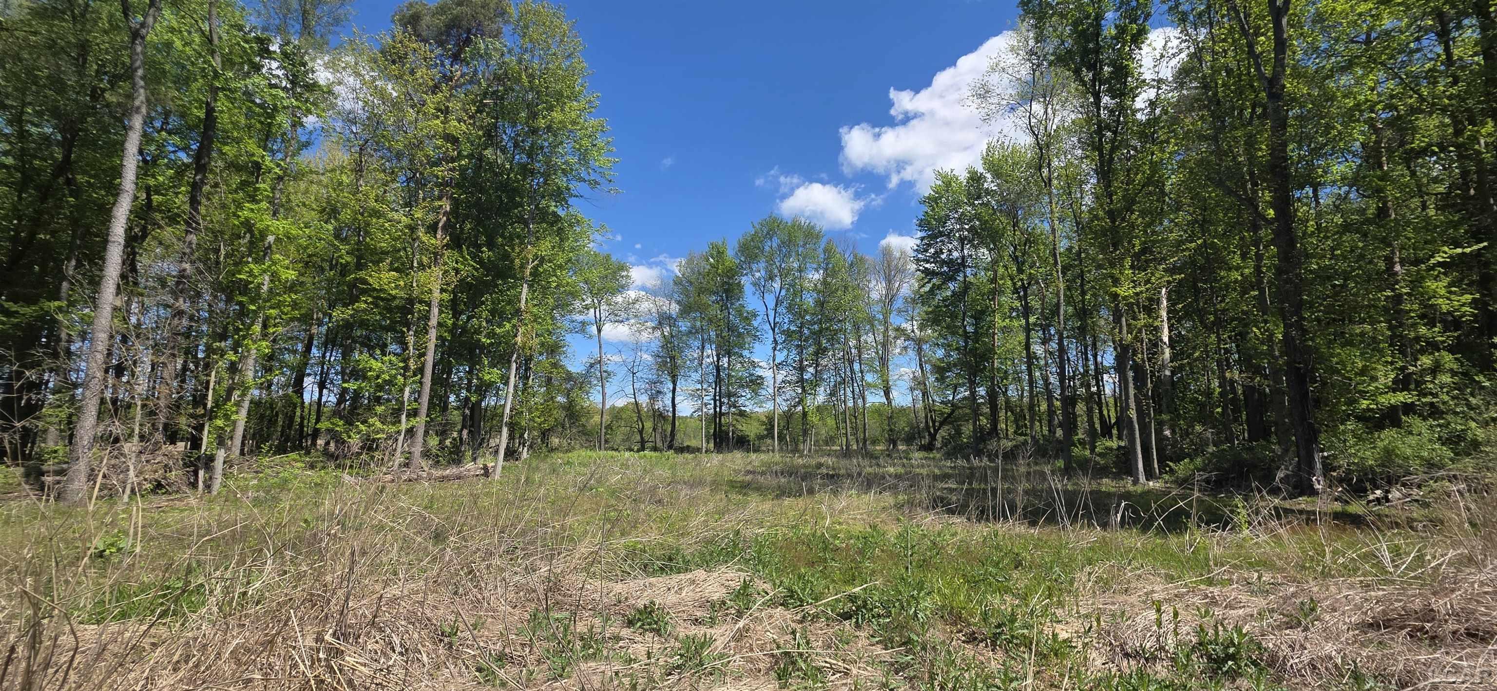 15252 27 Mile Road Albion, MI 49224 - Photo 14 of 57