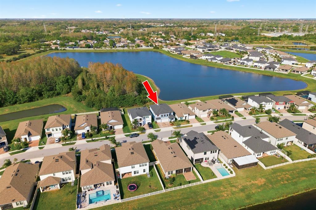 8364 Capstone Ranch Drive New Port Richey, FL 34655 - Photo 3 of 50