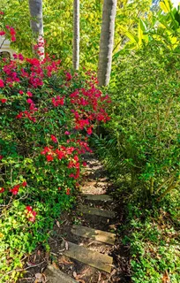 $2,998,000 | 26841 Windsor Drive, San Juan Capistrano, CA 92675