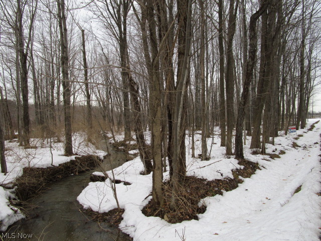 0 Moseley Road Thompson, OH 44086 - Photo 19 of 19