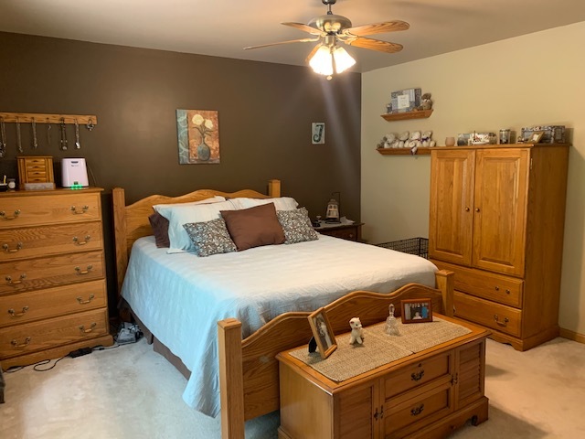 1303 Steward Road Steward, IL 60553 - Photo 17 of 33