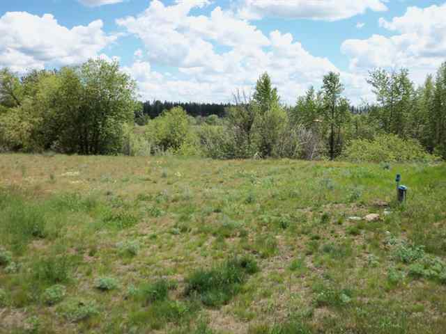 3121 South Espanola Road Medical Lake, WA 99022 - Photo 6 of 9 Gallery Image 6