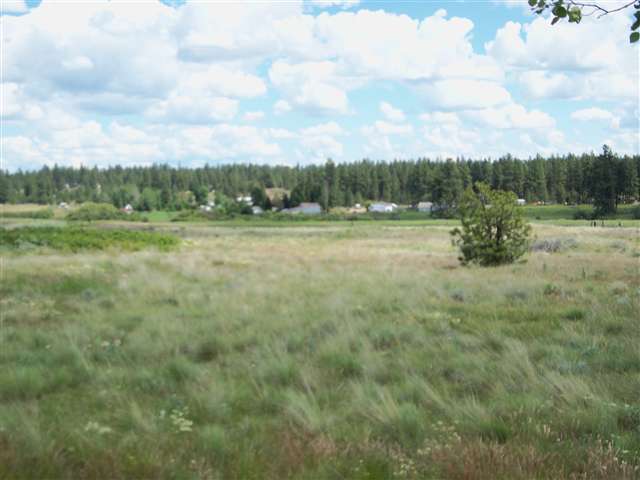 3121 South Espanola Road Medical Lake, WA 99022 - Photo 9 of 9 Gallery Image 9