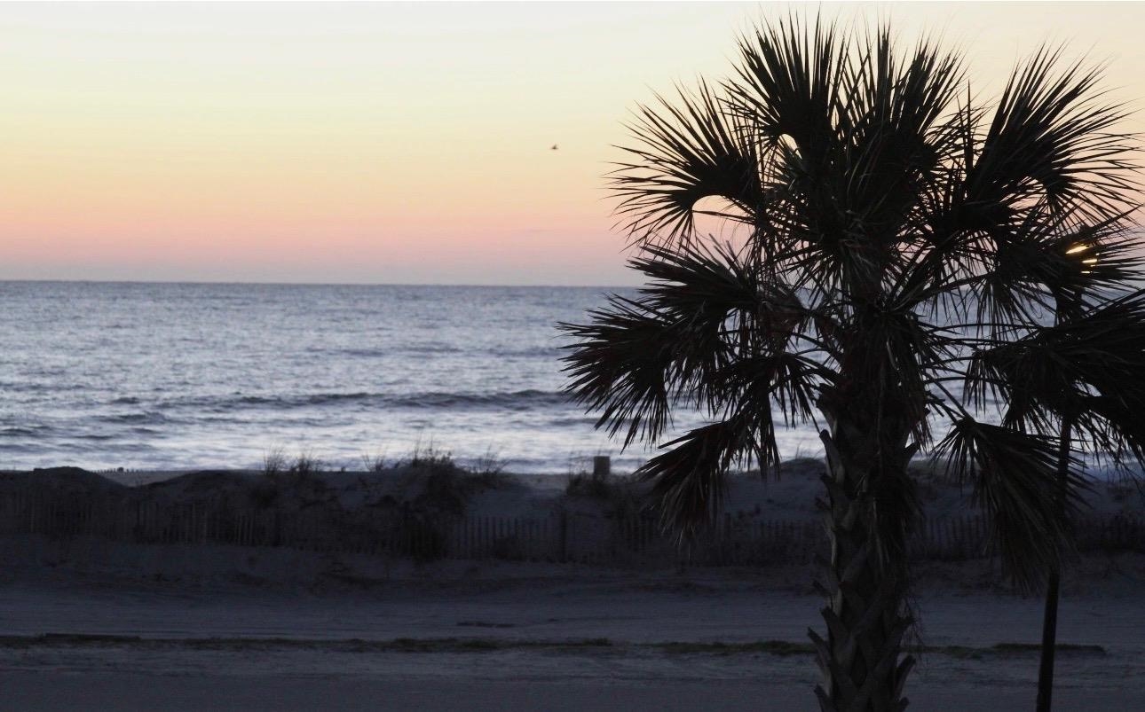 1914 Lark Surfside Beach, SC 29575 - Photo 50 of 68