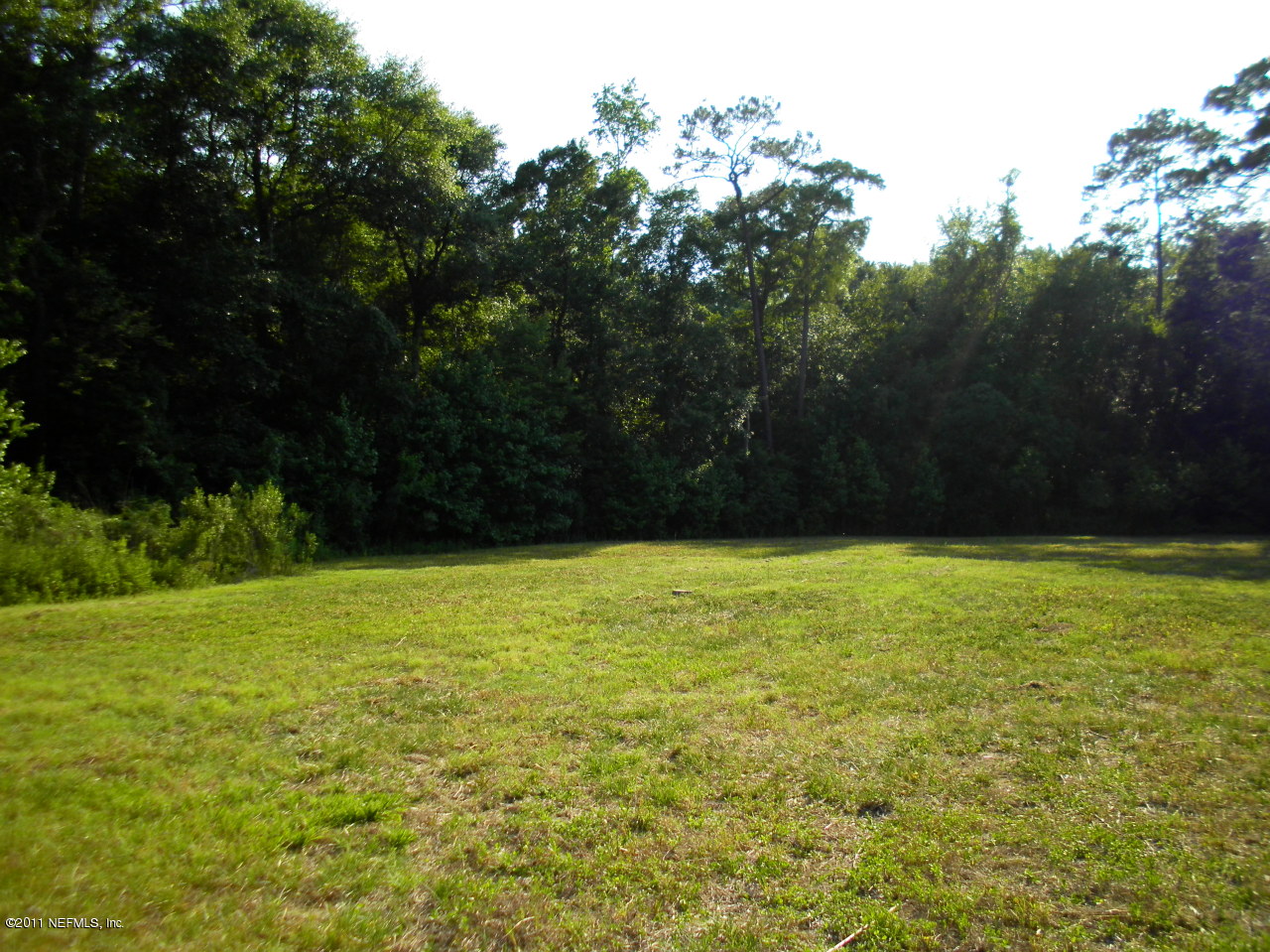 4451 B Barber Road Macclenny, FL 32063 - Photo 3 of 7 More land past the trees