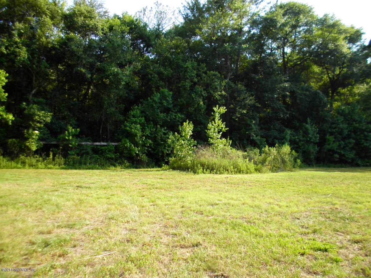 4451 B Barber Road Macclenny, FL 32063 - Photo 4 of 7 Gently sloping towards the creek