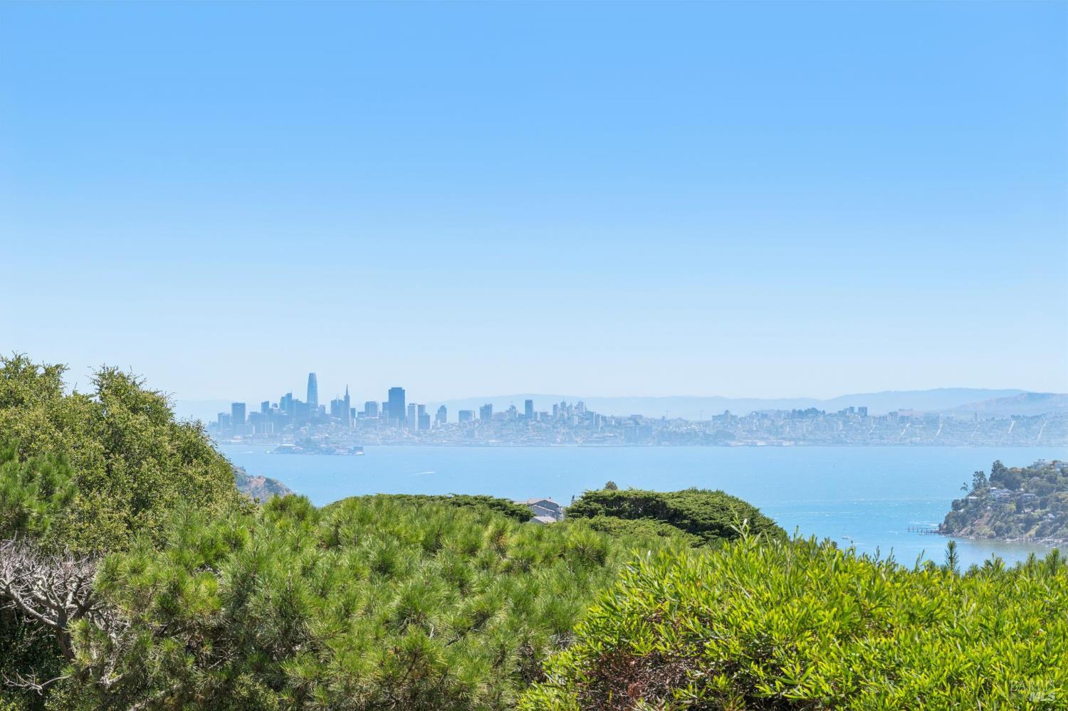 81 Mt Tiburon Road Belvedere Tiburon, CA 94920 - Photo 8 of 26