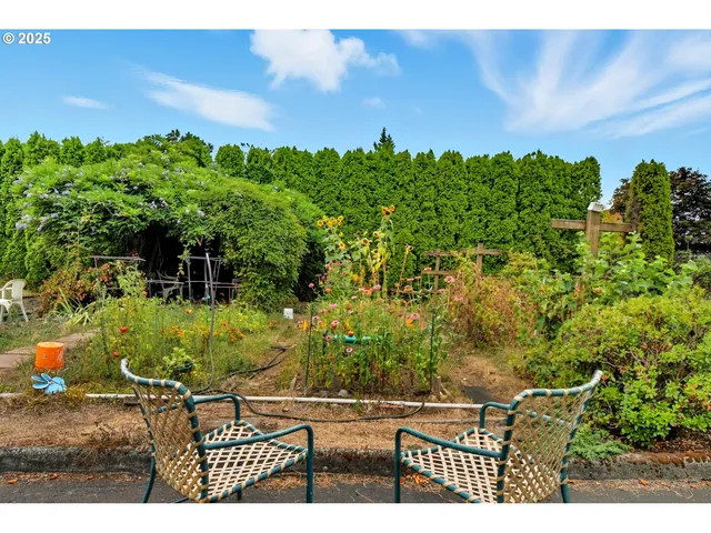 a view of backyard of house