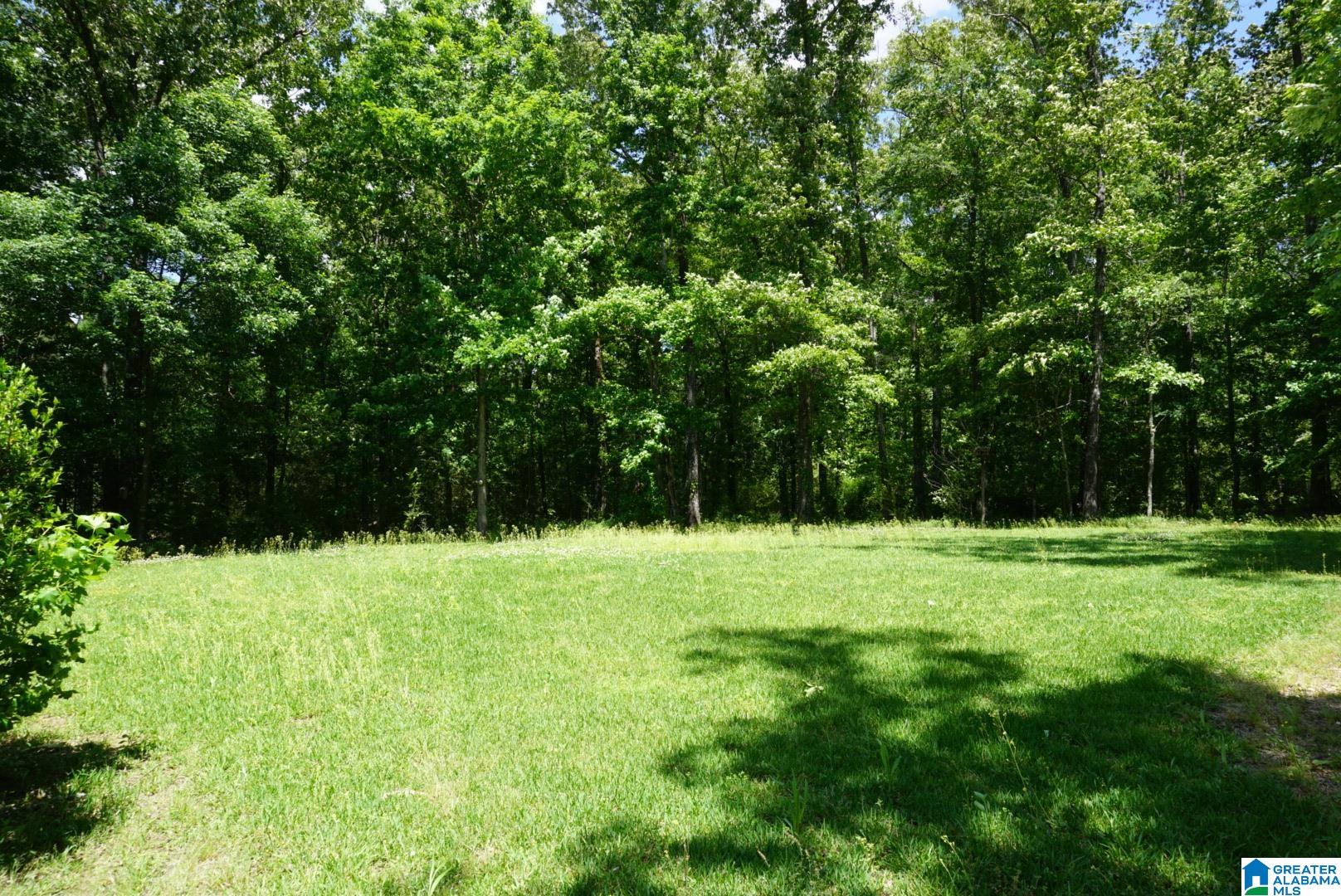 7708 Lou George Loop Bessemer, AL 35022 - Photo 5 of 22