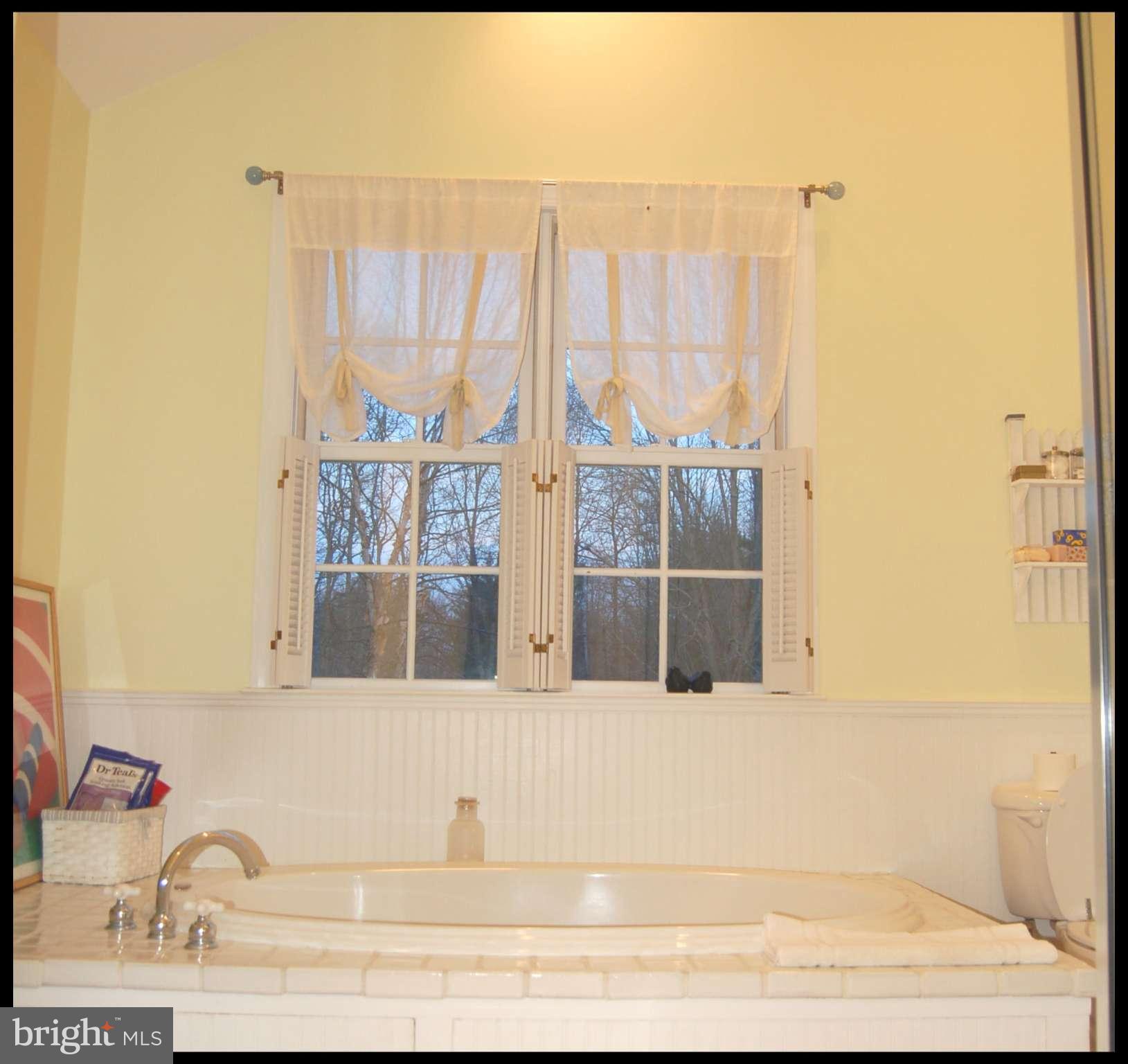 2312 Monkton Road Monkton, MD 21111 - Photo 11 of 30 a view of a bathroom with tub and windows