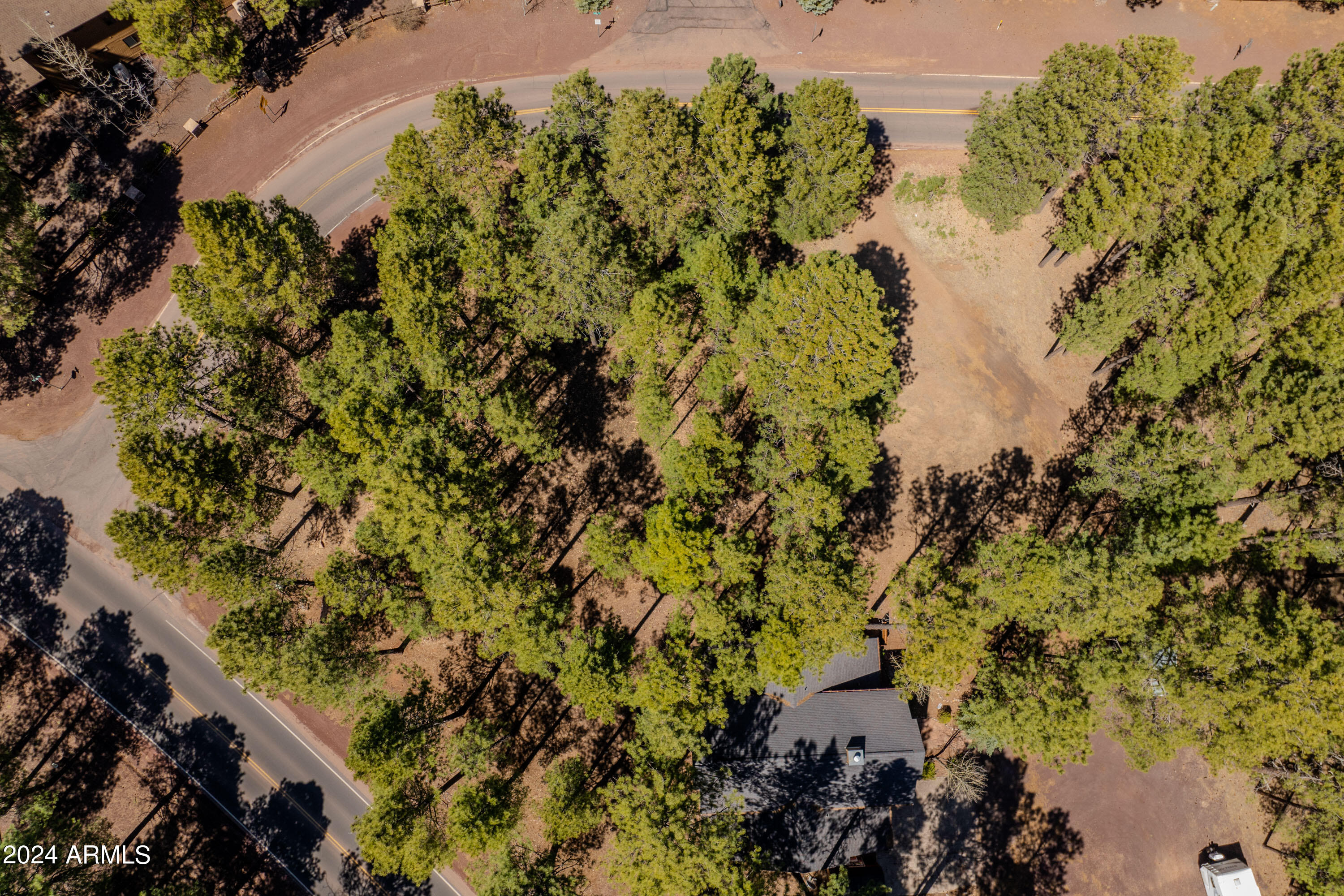 4571 Sky Hi Road Pinetop, AZ 85935 - Photo 9 of 23 4571 Sky Hi-09