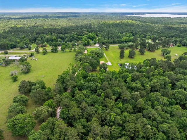 a view of a city with lush green forest