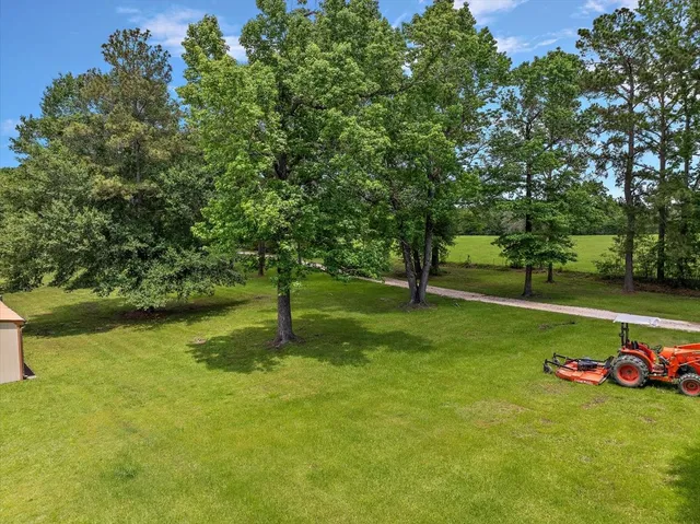 a view of a trees in a park