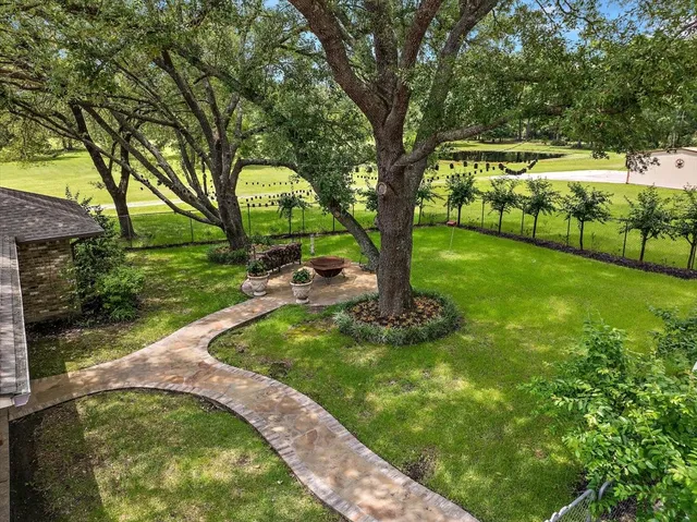 a view of a yard with a tree