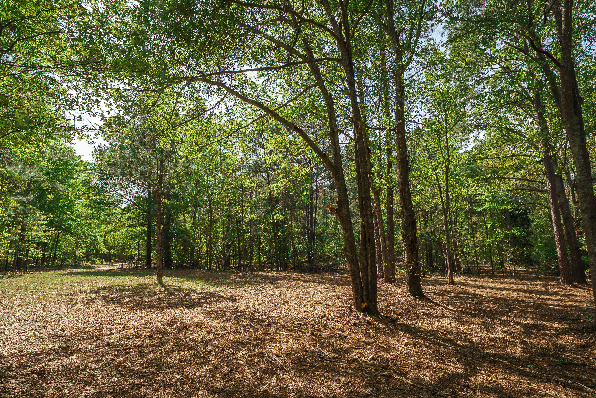 Lot 3 Banks Mill Road Southeast Aiken, SC 29803 - Photo 33 of 42