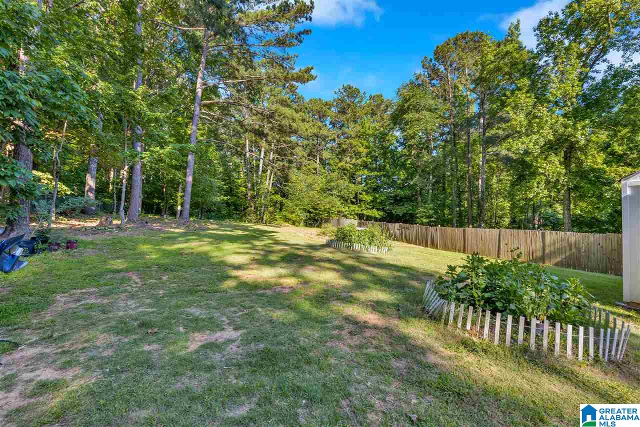 7313 Weems Road Pinson, AL 35126 - Photo 17 of 18