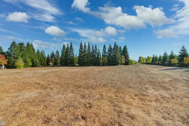 $2,500,000 | 10638 Birch Ranch Drive, Sacramento, CA 95830