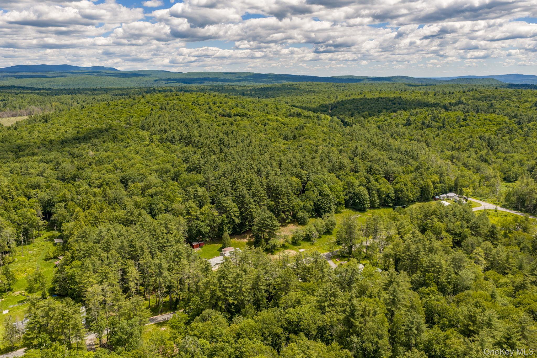 570 Brown Road Ellenville, NY 12428 - Photo 32 of 33