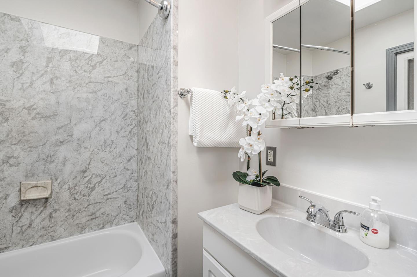 3993 Pasadena Drive San Mateo, CA 94403 - Photo 31 of 40 a bathroom with a sink and a mirror
