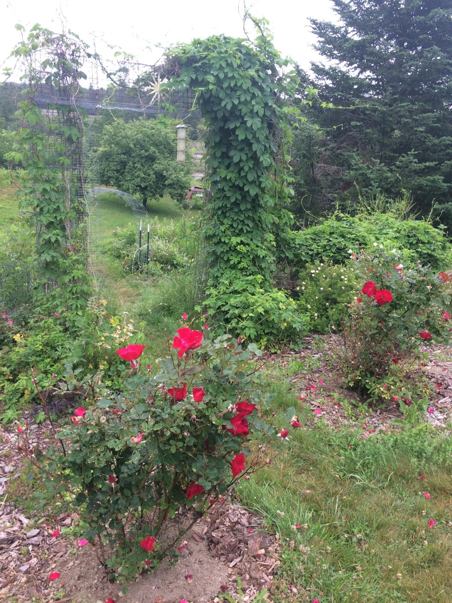27 Crows Neck Road Lubec, ME 04652 - Photo 52 of 54 CN28