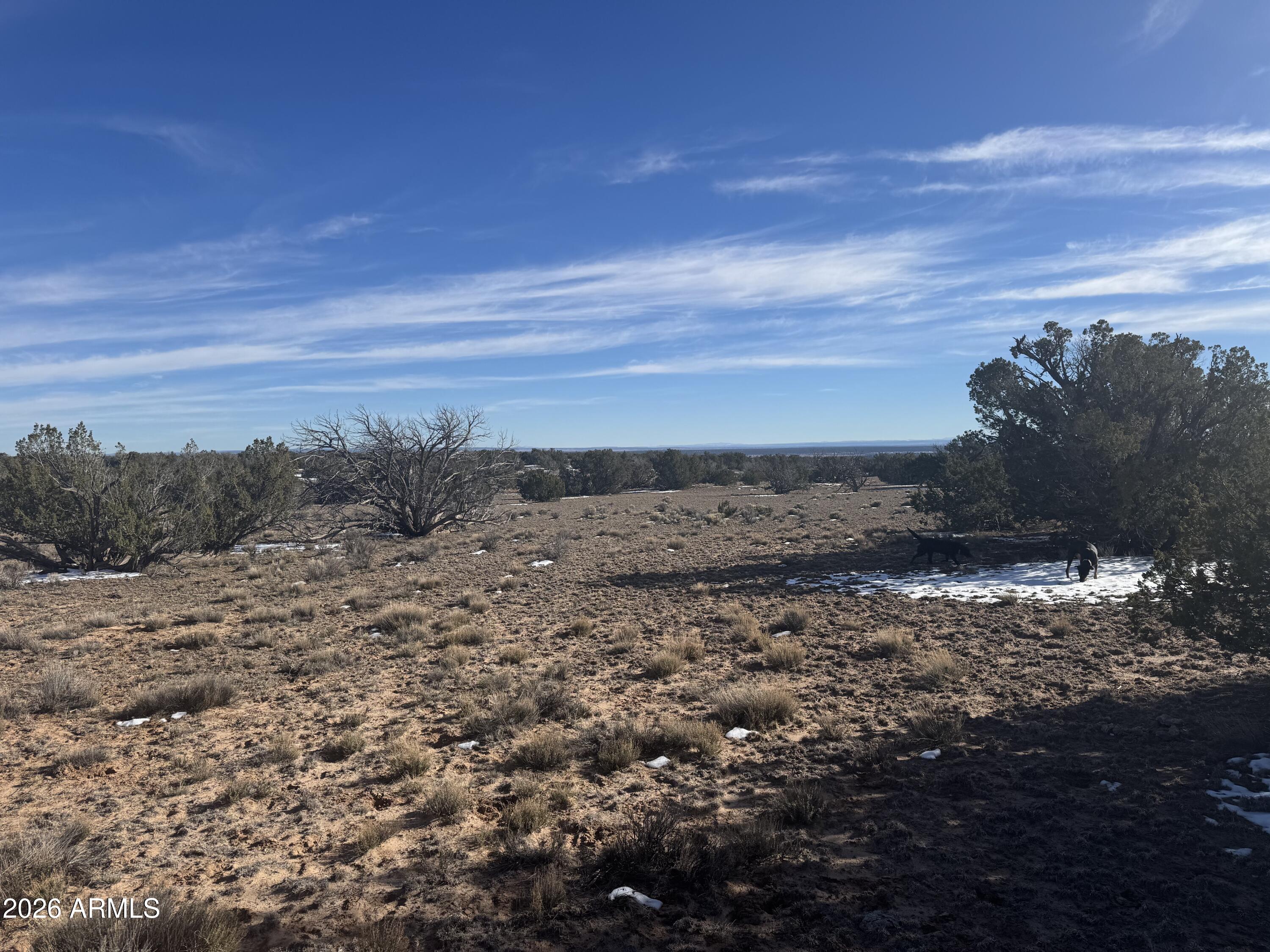 Lot 76 Red Sky Ranch, Unit 76 St. Johns, AZ 85936 - Photo 11 of 15 IMG_0358