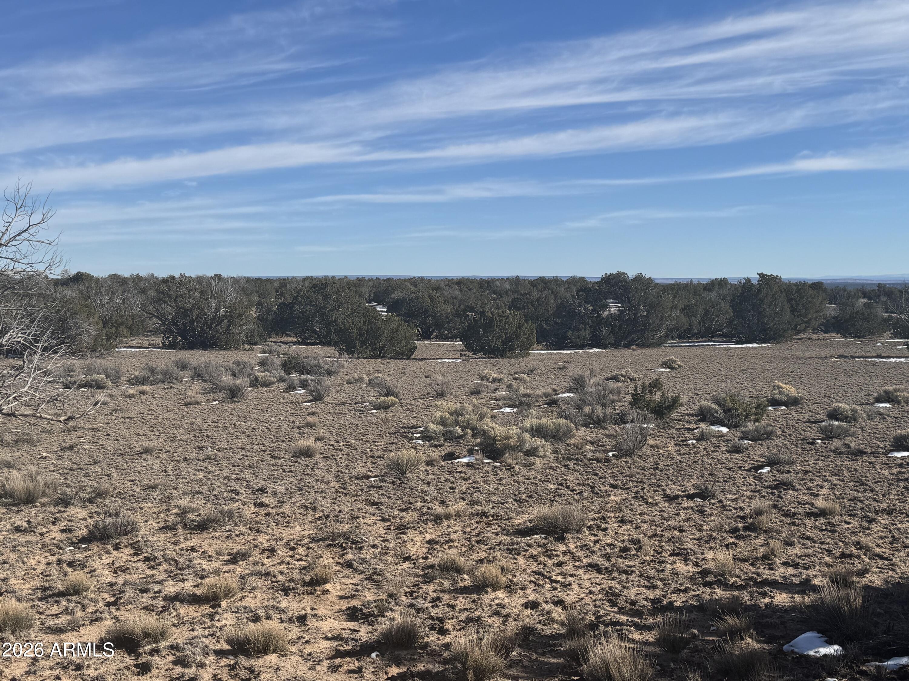 Lot 76 Red Sky Ranch, Unit 76 St. Johns, AZ 85936 - Photo 12 of 15 IMG_0360