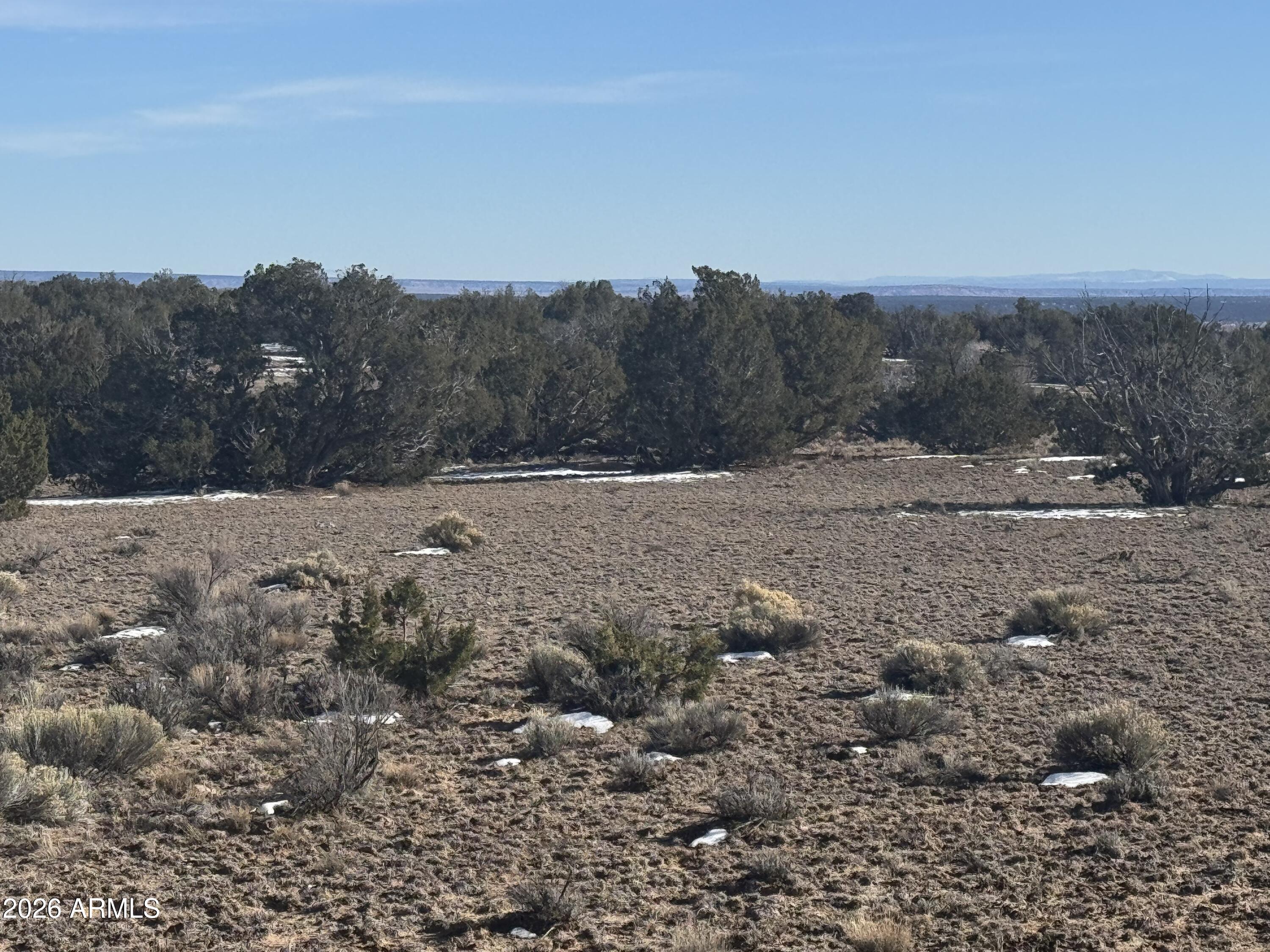 Lot 76 Red Sky Ranch, Unit 76 St. Johns, AZ 85936 - Photo 13 of 15 IMG_0361