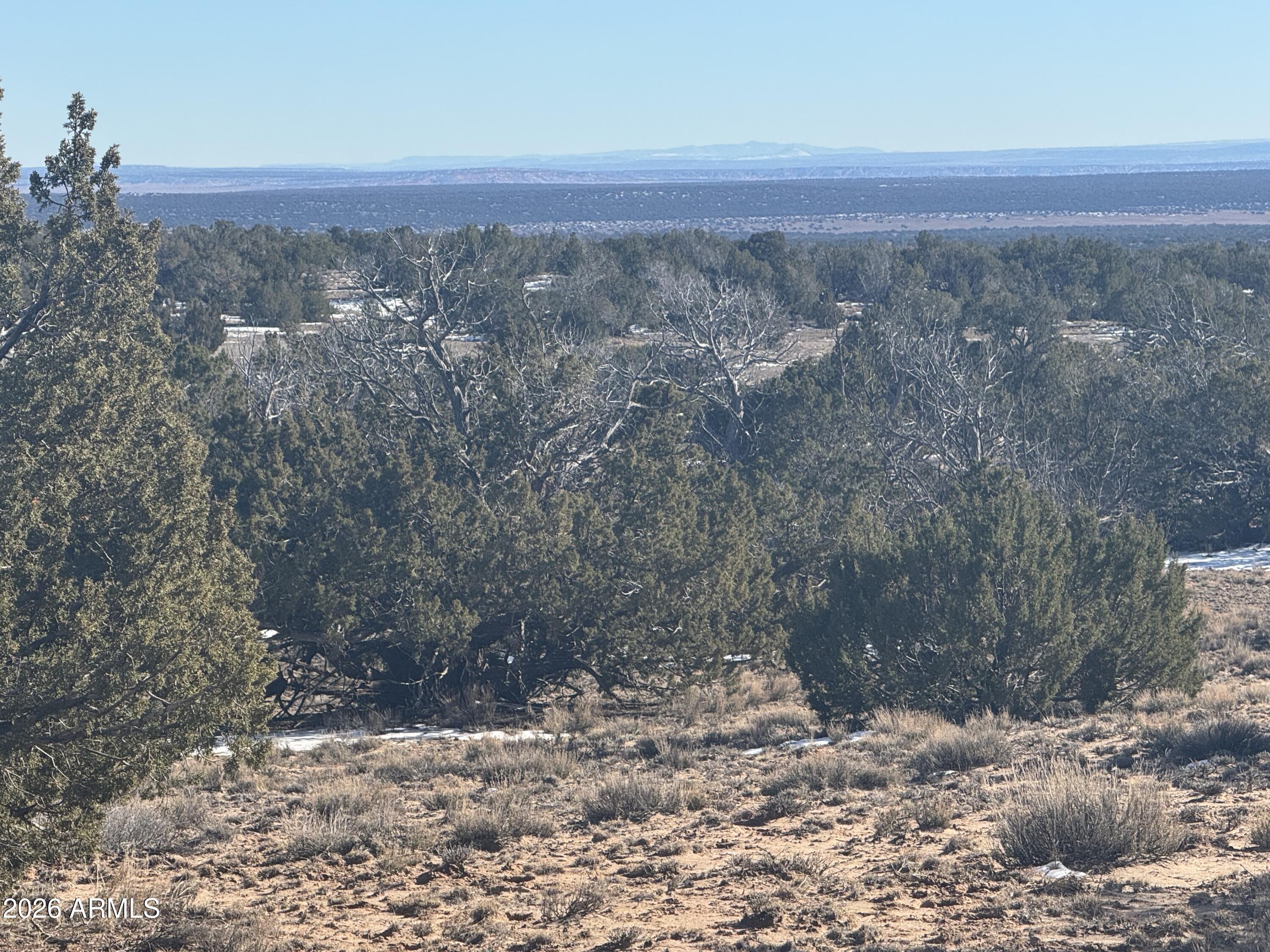 Lot 76 Red Sky Ranch, Unit 76 St. Johns, AZ 85936 - Photo 4 of 15 IMG_0353