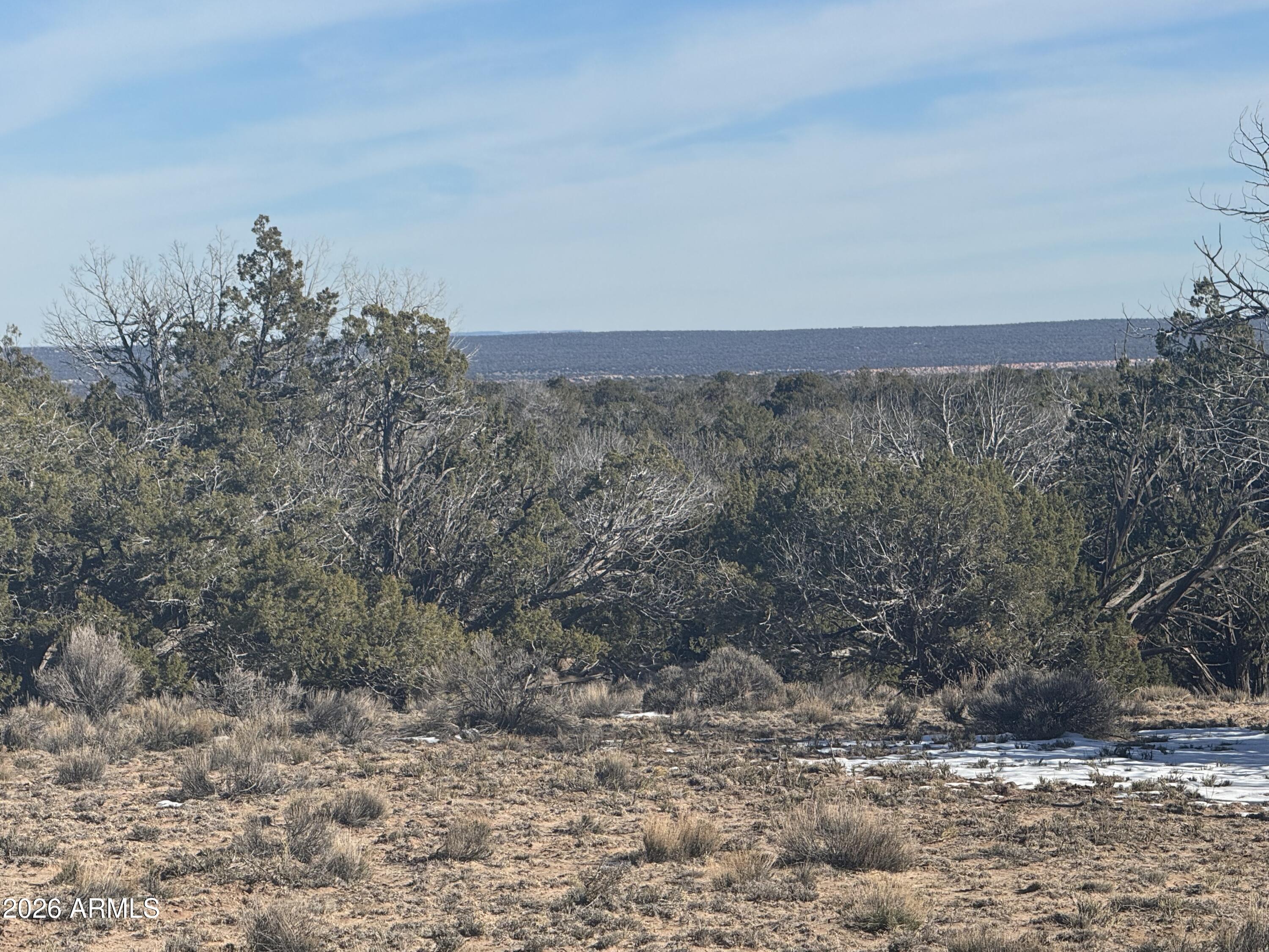 Lot 76 Red Sky Ranch, Unit 76 St. Johns, AZ 85936 - Photo 5 of 15 IMG_0351