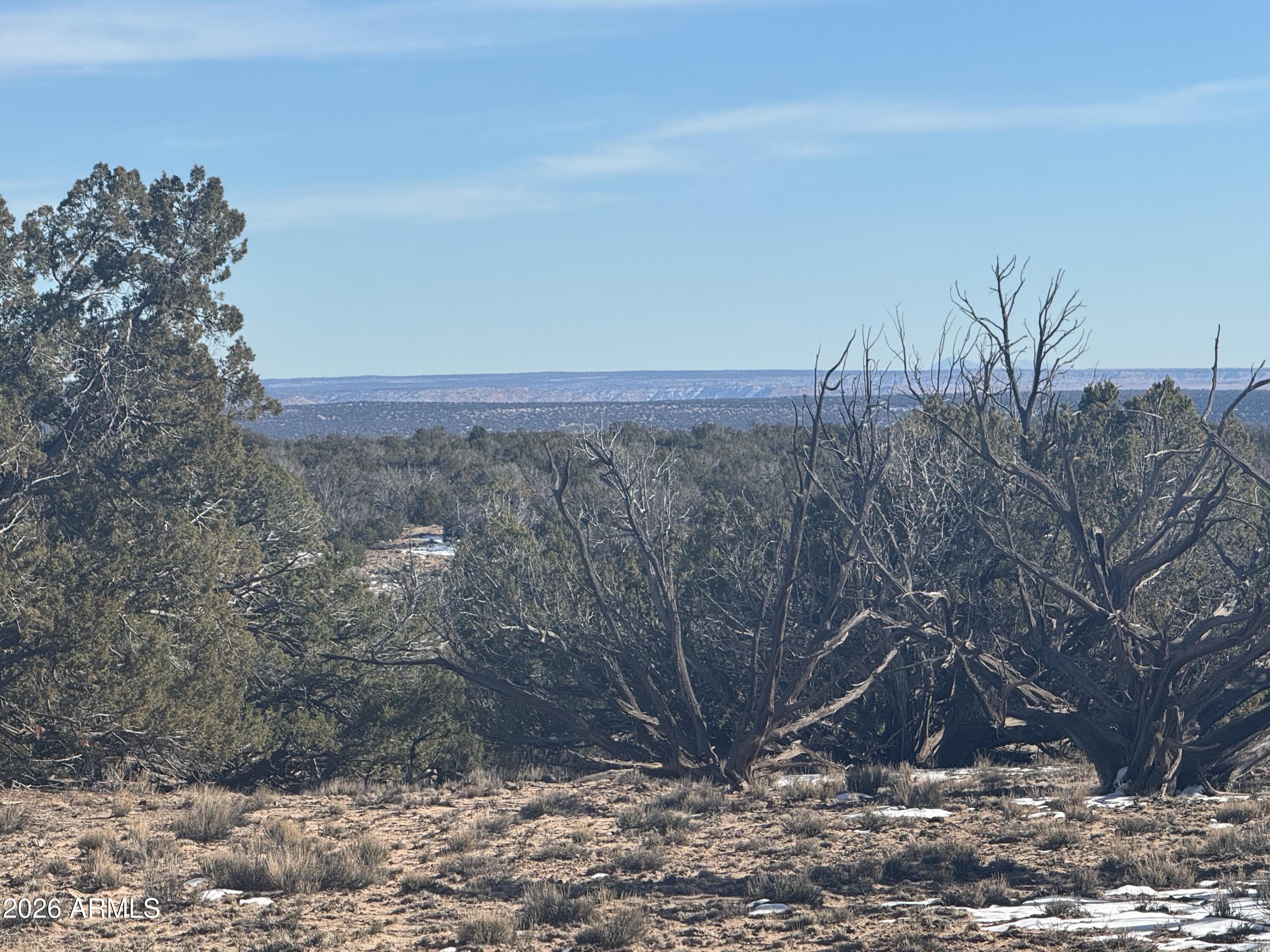 Lot 76 Red Sky Ranch, Unit 76 St. Johns, AZ 85936 - Photo 6 of 15 IMG_0352