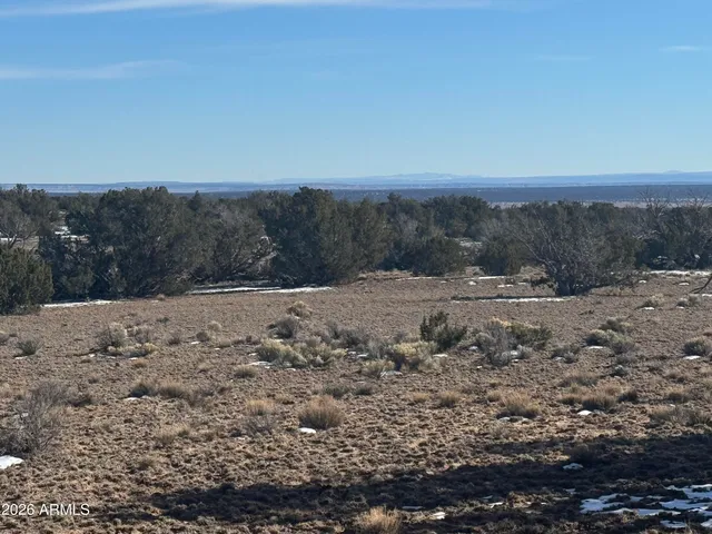 $54,900 | Lot 76 Red Sky Ranch, Unit 76, St. Johns, AZ 85936