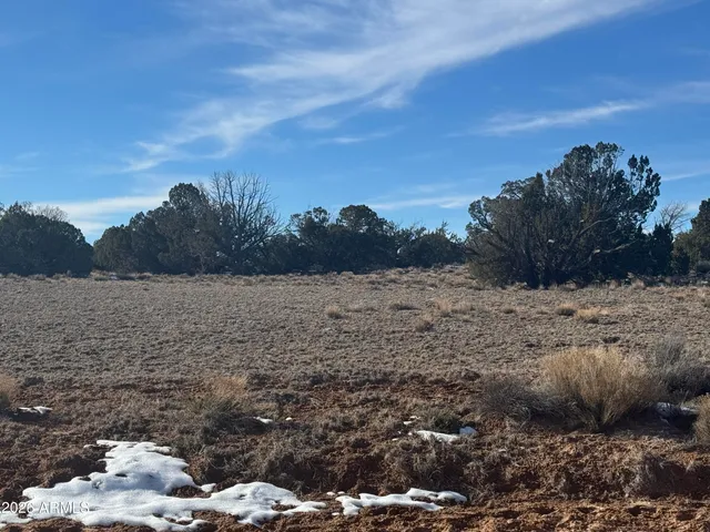 $54,900 | Lot 76 Red Sky Ranch, Unit 76, St. Johns, AZ 85936