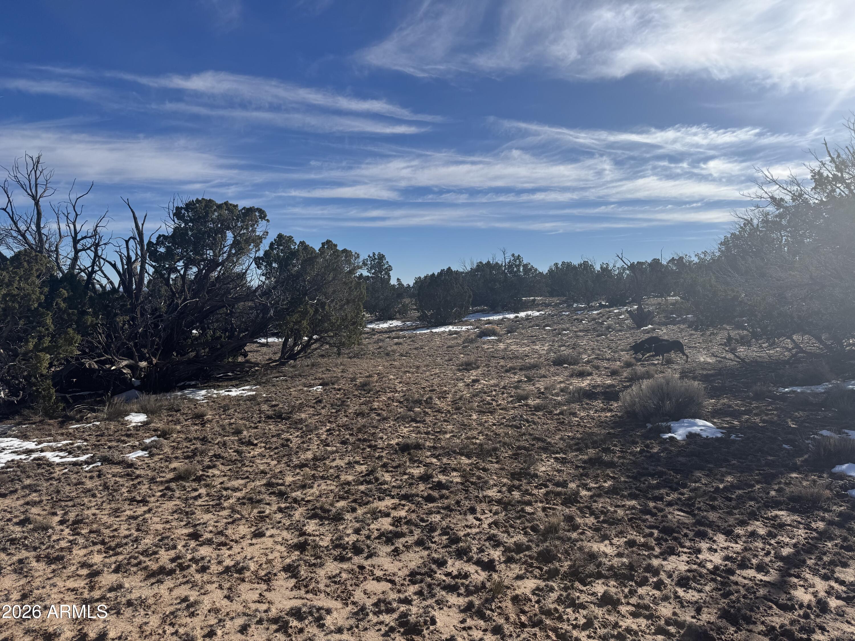 Lot 76 Red Sky Ranch, Unit 76 St. Johns, AZ 85936 - Photo 9 of 15 IMG_0349