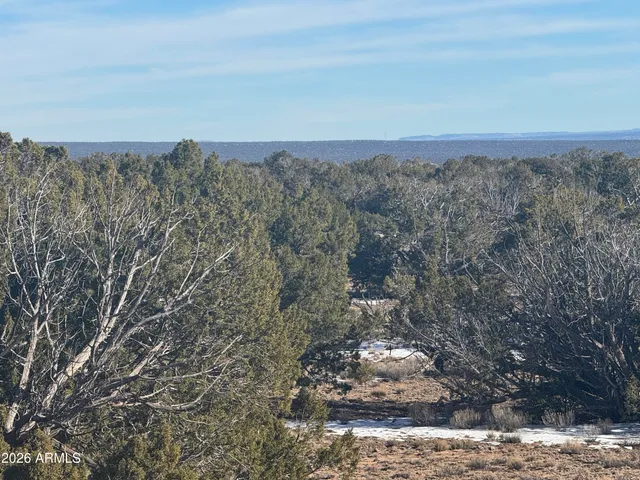 $54,900 | Lot 76 Red Sky Ranch, Unit 76, St. Johns, AZ 85936