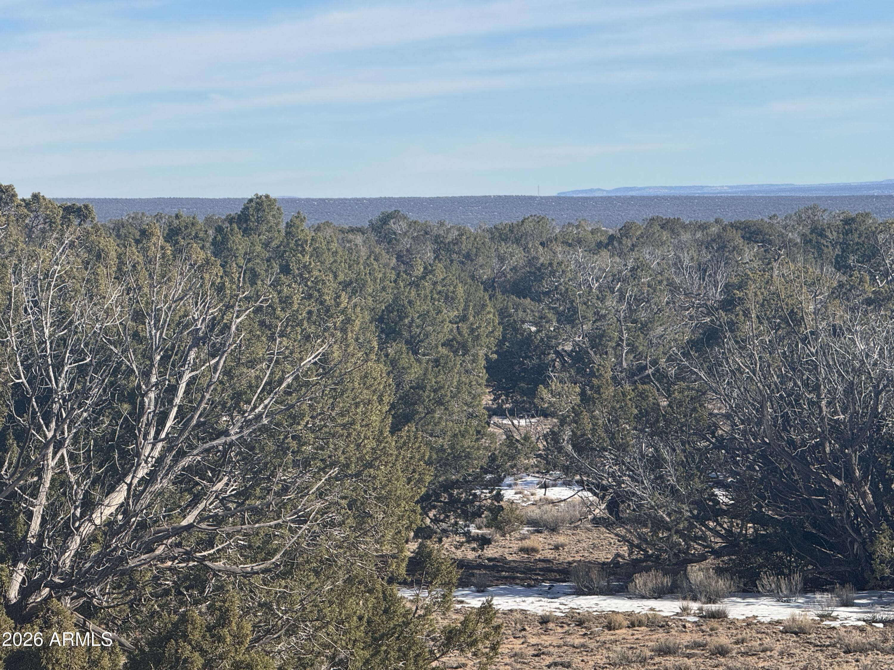 Lot 76 Red Sky Ranch, Unit 76 St. Johns, AZ 85936 - Photo 10 of 15 IMG_0354