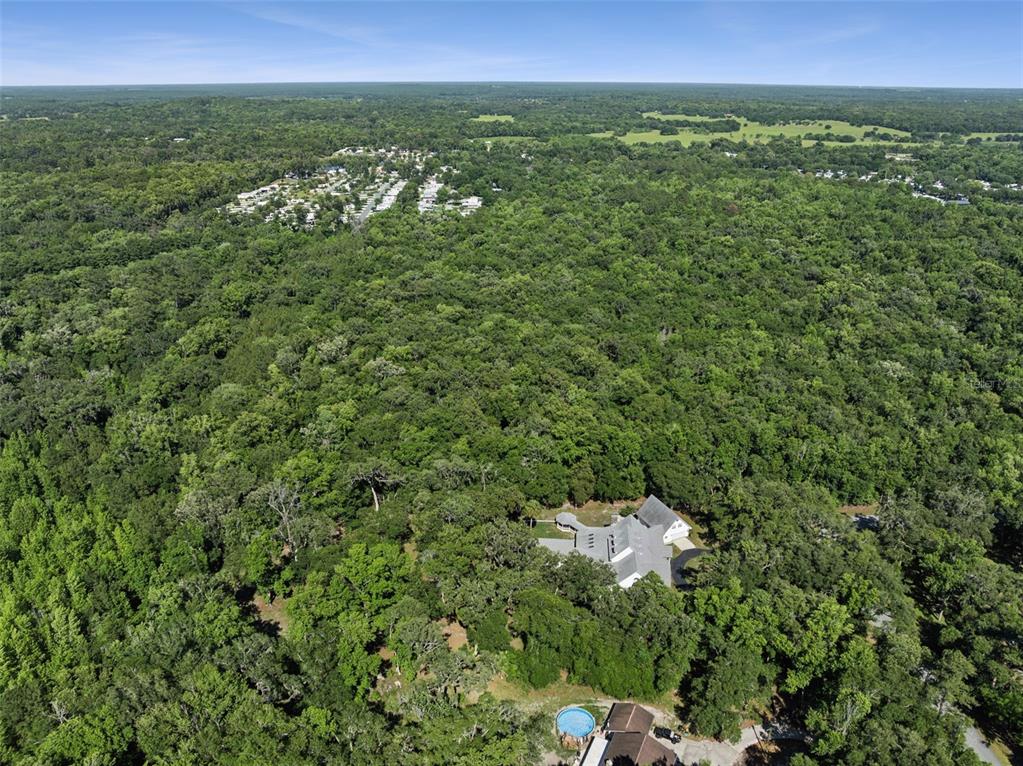 21033 Violet Road Brooksville, FL 34601 - Photo 58 of 68