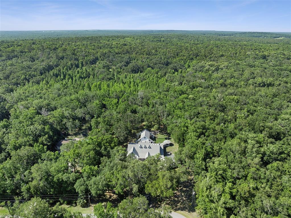 21033 Violet Road Brooksville, FL 34601 - Photo 63 of 68