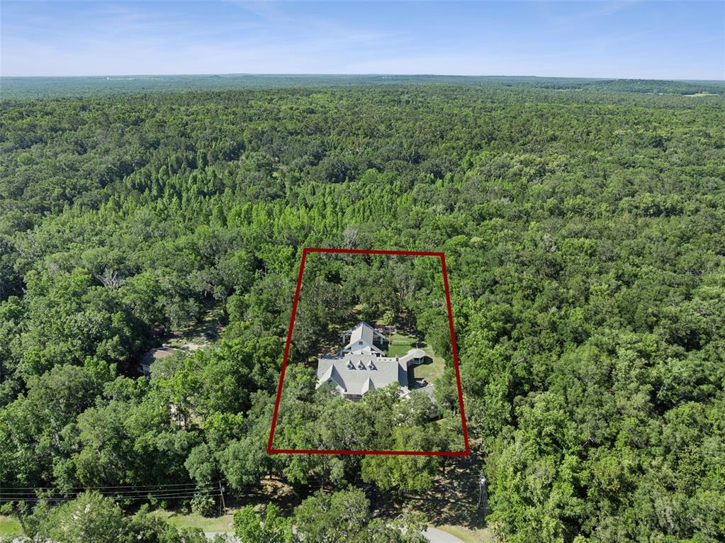 21033 Violet Road Brooksville, FL 34601 - Photo 66 of 68