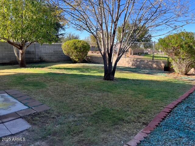 3600 East Denim Trail San Tan Valley, AZ 85143 - Photo 50 of 50 a view of a backyard with large trees