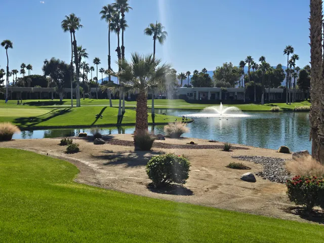a view of a park with large trees