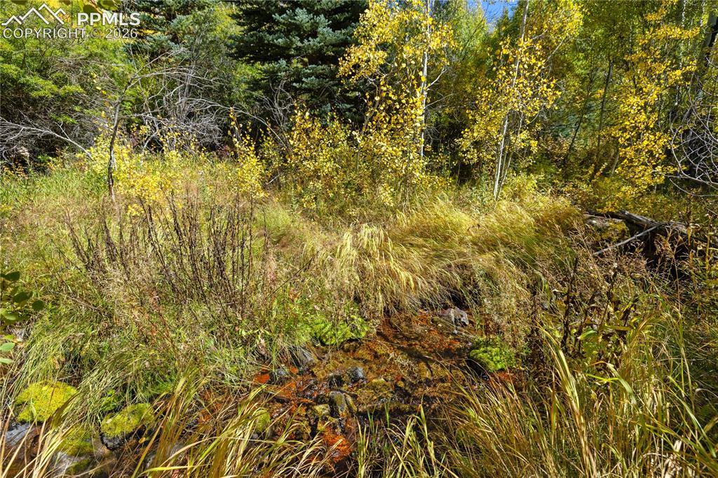 Undisclosed Address Basalt, CO 81621 - Photo 22 of 36 Another View of Smith Creek!