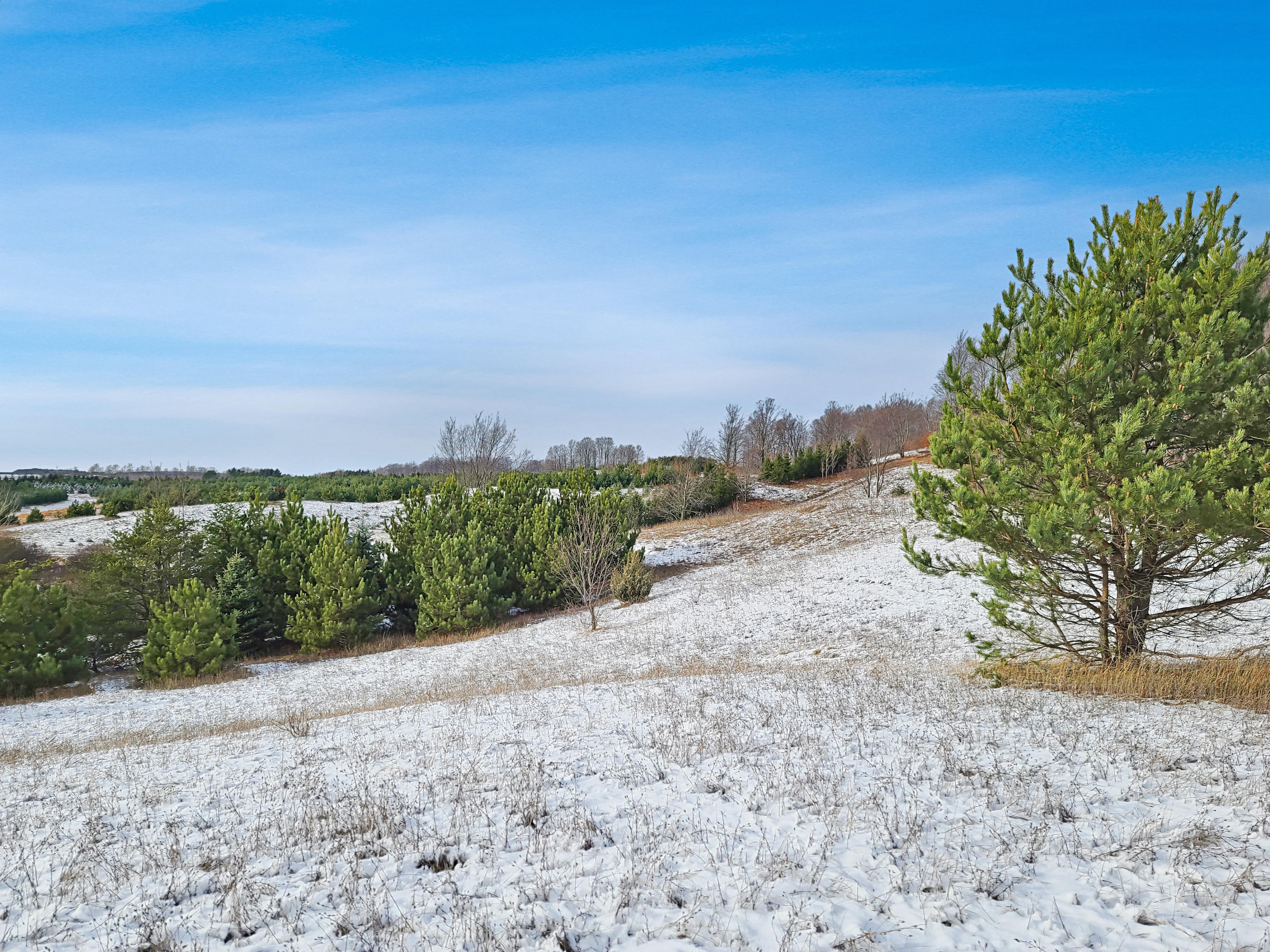 Poquette Road Gaylord, MI 49735 - Photo 6 of 14 Gallery Image 6