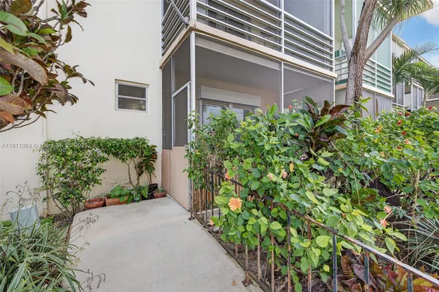 a view of a backyard with plants