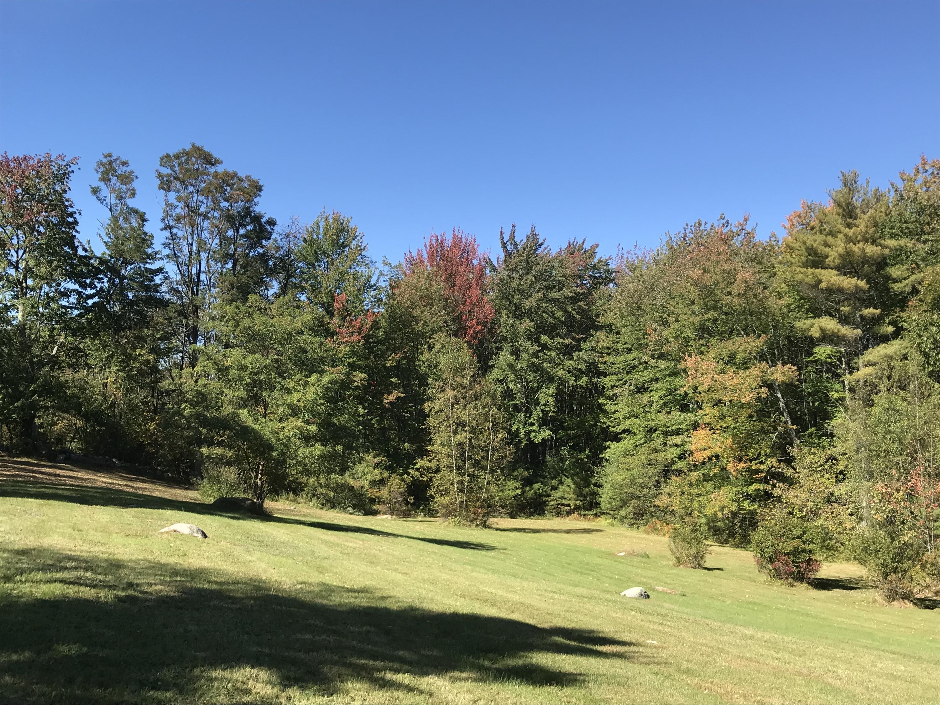 1217 South Waterboro Road Lyman, ME 04002 - Photo 23 of 27 Pasture