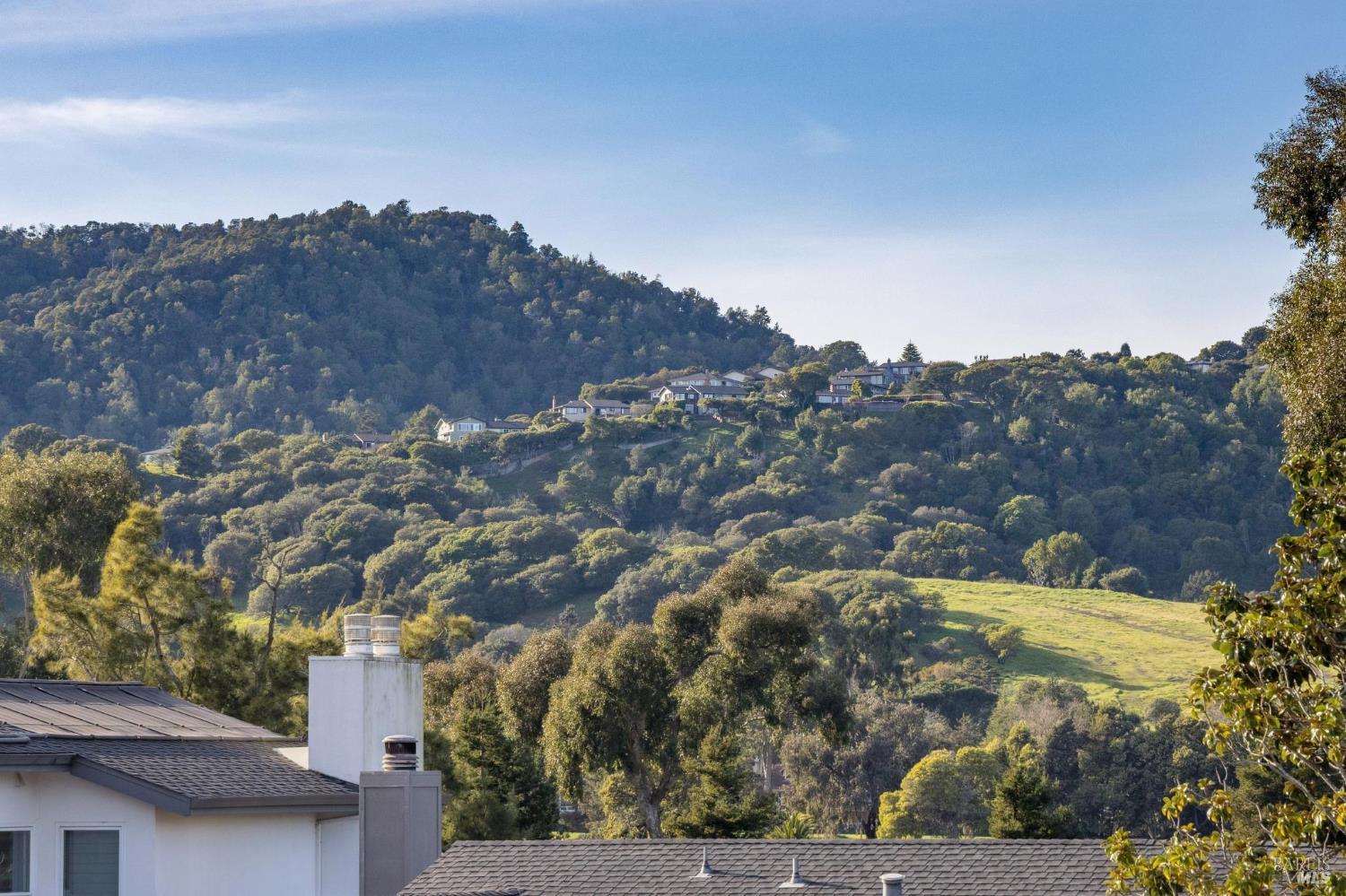 282 Riviera Drive San Rafael, CA 94901 - Photo 42 of 70